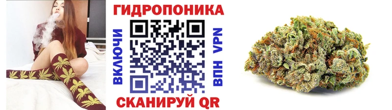 shop как зайти Еманжелинск Каннабис AK-47